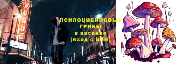 ПСИЛОЦИБИНОВЫЕ ГРИБЫ Костерёво