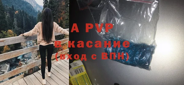 ПСИЛОЦИБИНОВЫЕ ГРИБЫ Костерёво