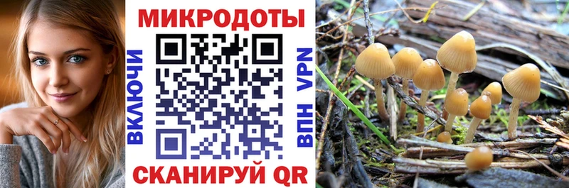 Псилоцибиновые грибы Psilocybine cubensis  Вяземский 